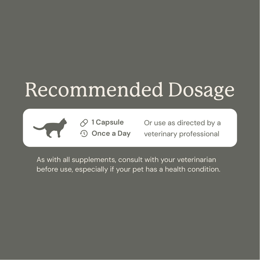 Gut Maintain for Cats