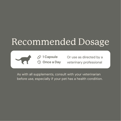Gut Maintain for Cats