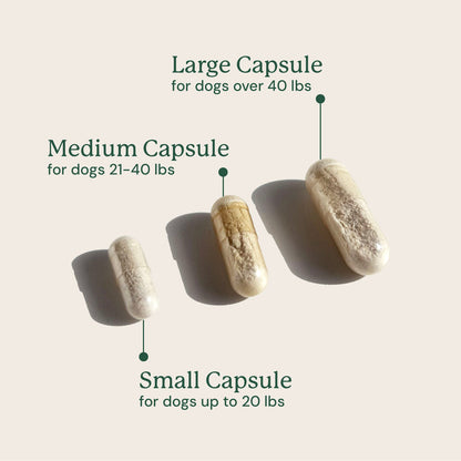 Gut Maintain for Dogs