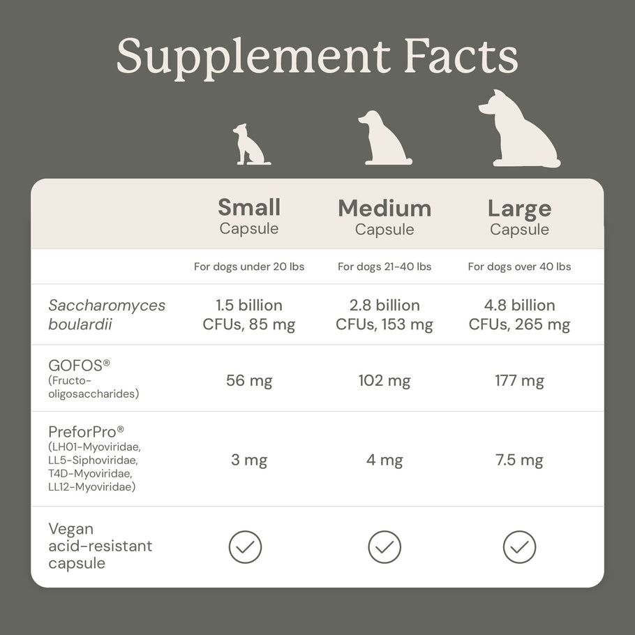 Gut Maintain for Dogs