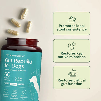 Gut Rebuild for Dogs-60tabs