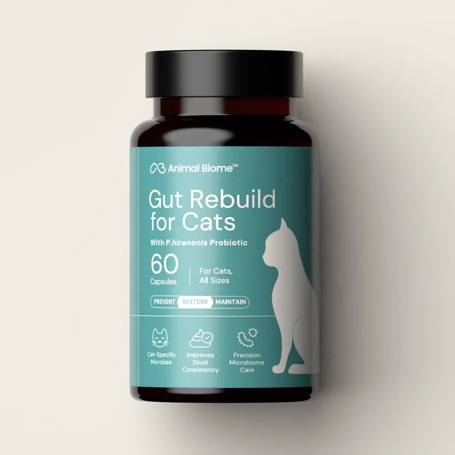Gut Rebuild for Cats