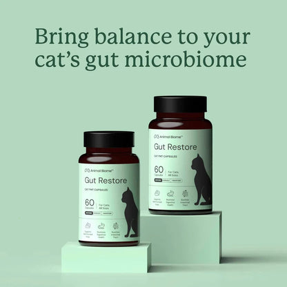 Gut Restore Capsules For Cats (FMT)