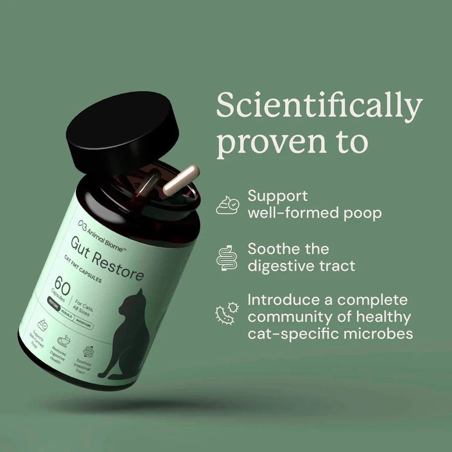 Gut Restore Capsules For Cats (FMT)