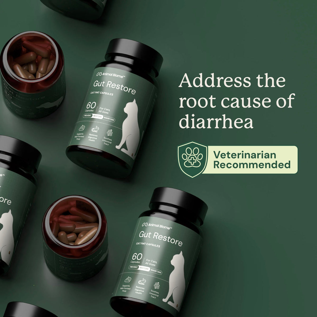 Gut Restore Capsules For Cats (FMT)