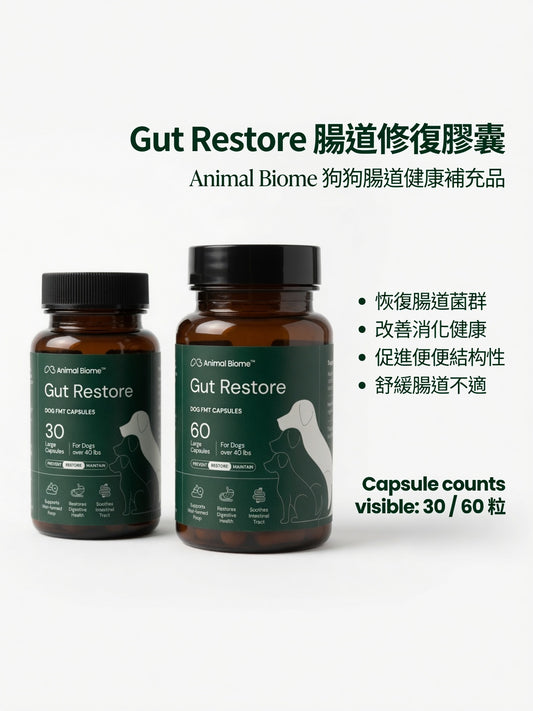 Gut Restore for Dog (FMT)