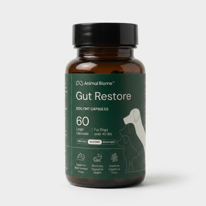 Gut Restore for Dog (FMT)