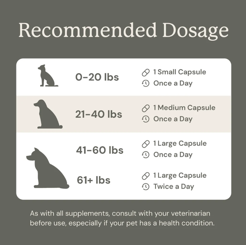 Gut Maintain for Dogs