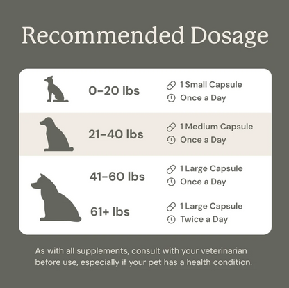 Gut Maintain for Dogs