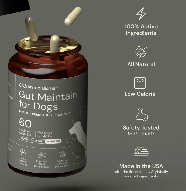 Gut Maintain for Dogs