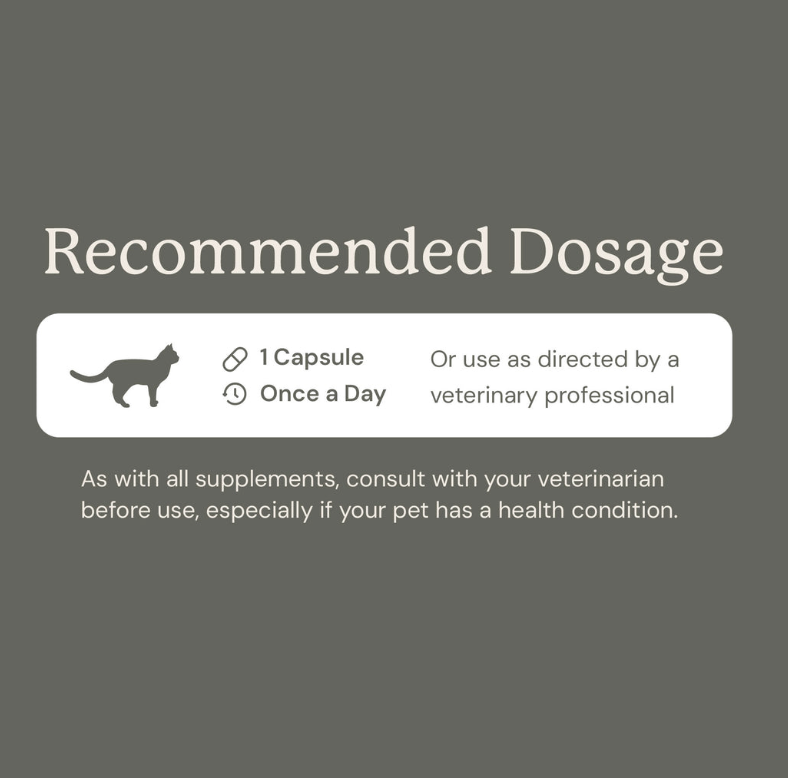 Gut Maintain for Cats