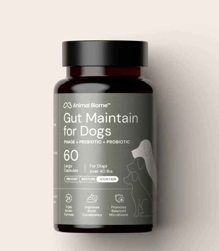 Gut Maintain for Dogs