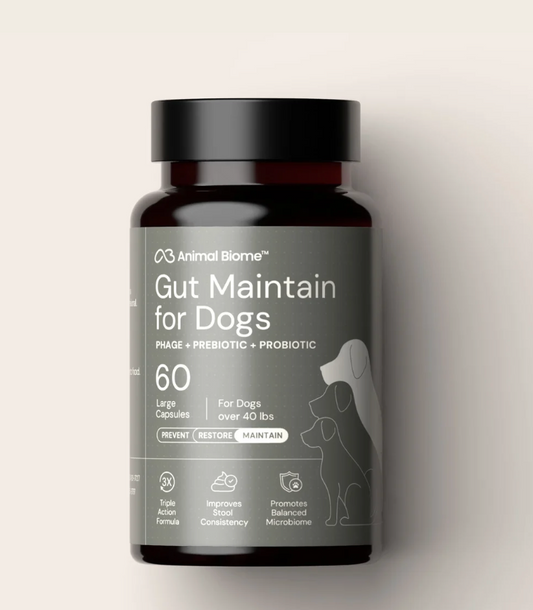 Gut Maintain for Dogs