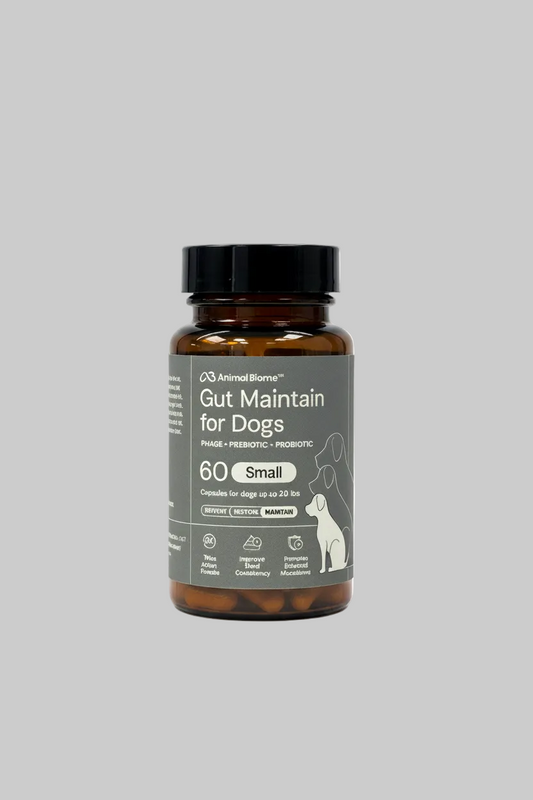 Animal Biome Gut Maintain for Dogs - All White Background